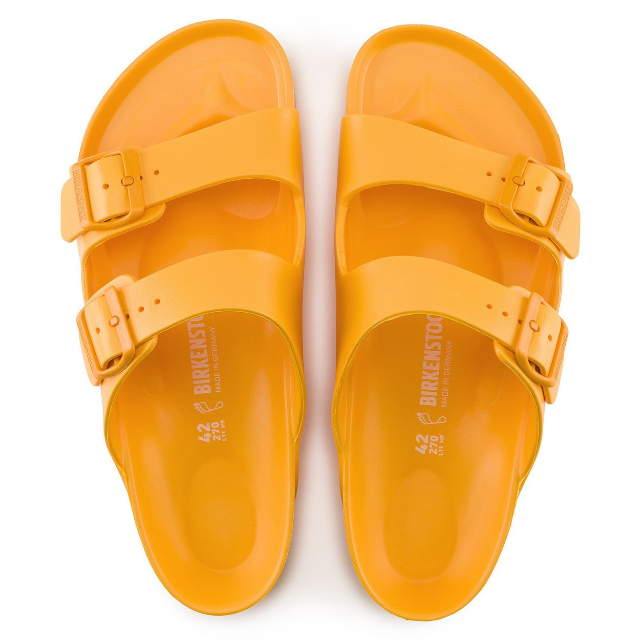 Arizona EVA Zinnia