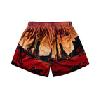 Desert League Mesh Shorts multi