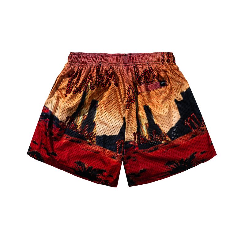 Desert League Mesh Shorts multi