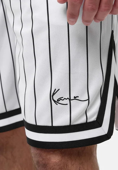 Small Sign Pinstripe Mesh Shorts White