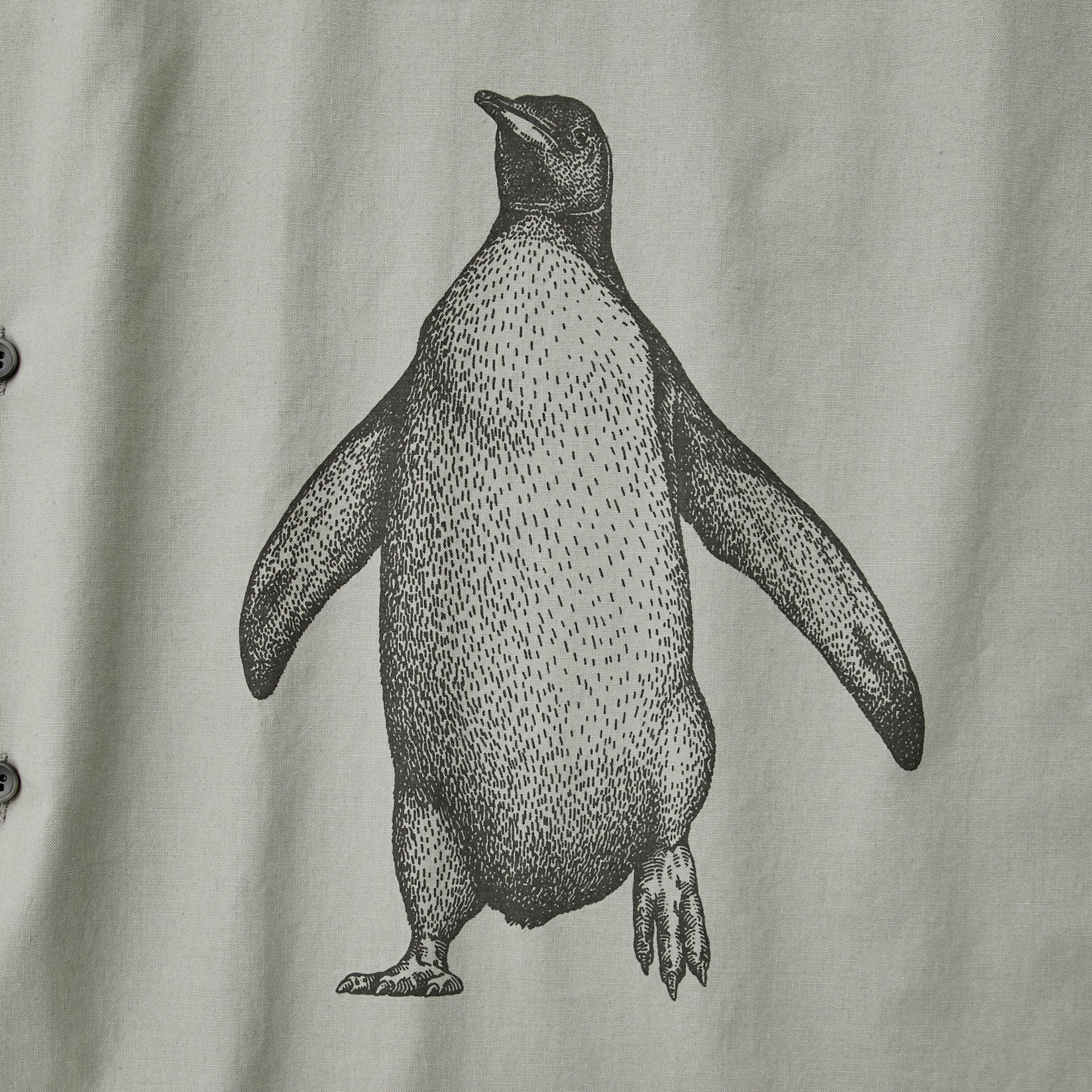 Penguin Shirt Smorky Grey